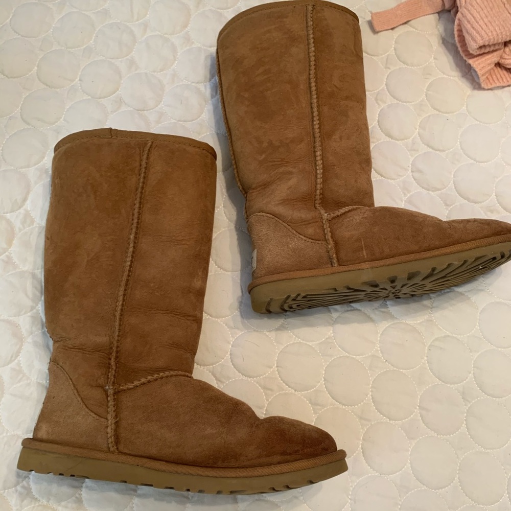 Tall chestnut uggs